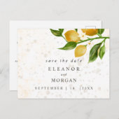 日付の青いレモンの水色を結婚保存 ポストカード (正面/裏面)