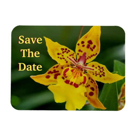 日付の黄色い蘭の磁石を保存 マグネット (横)