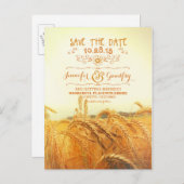 日付はがきを保存するロマンチックな小麦畑 案内ポストカード (正面/裏面)