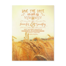 日付はがきを保存するロマンチックな小麦畑