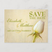 日付はがきホワイトローズ独身のバドの保存 案内ポストカード (正面)