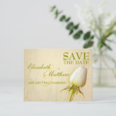 日付はがきホワイトローズ独身のバドの保存 案内ポストカード (スタンド正面)