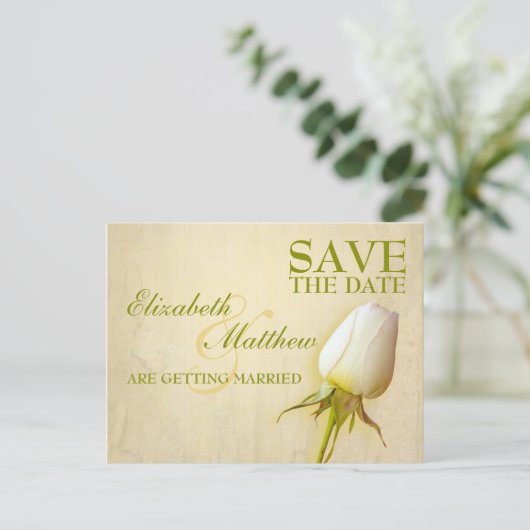 日付はがきホワイトローズ独身のバドの保存 案内ポストカード (スタンド正面)