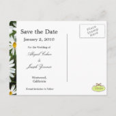 日付はがき、デイジーの保存 案内ポストカード (裏面)