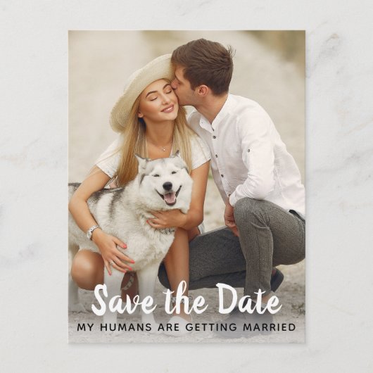 日付を保存した犬の結婚式 案内ポストカード (正面)