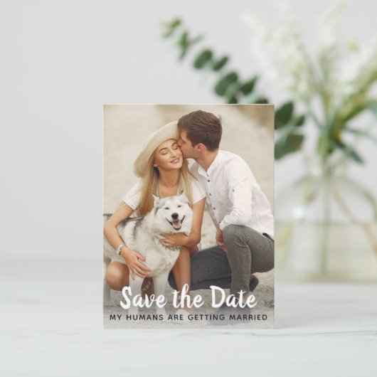 日付を保存した犬の結婚式 案内ポストカード (スタンド正面)