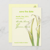 日付を保存し、リリーポストカードと呼ぶ 案内ポストカード (正面/裏面)