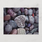 日付を保存するシックエレガントかわいい小石のハート ポストカード (裏面)