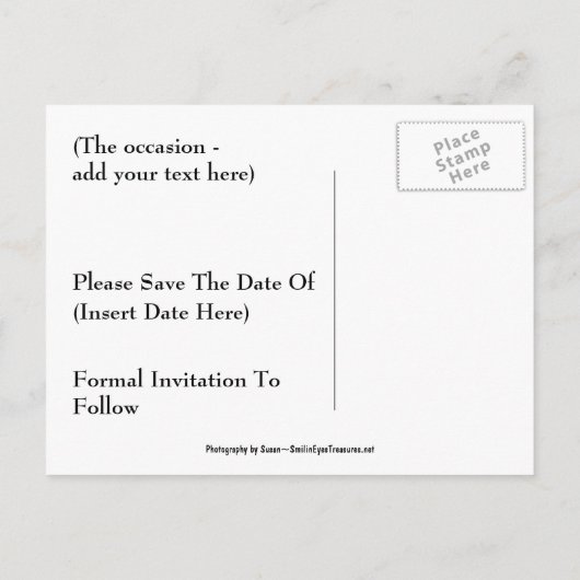 日付を保存するピンクのチューリップ青い空の花はがき 案内ポストカード (裏面)