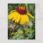 日付を保存するファミリの懇親会交換可能写真 ポストカード (正面)