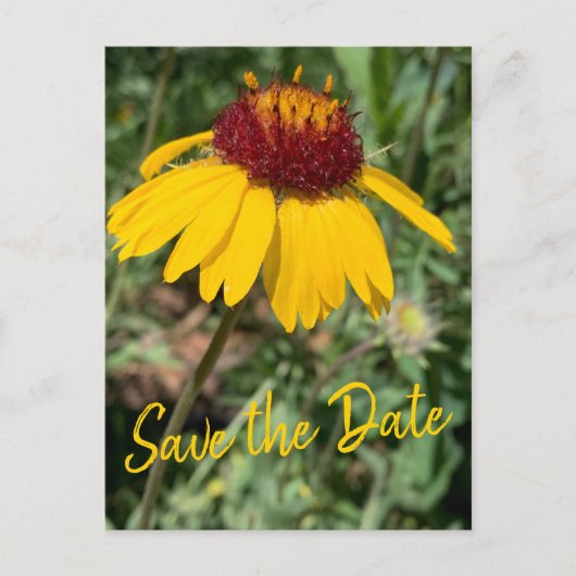 日付を保存するファミリの懇親会交換可能写真 ポストカード (正面)