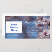 日付を保存する、さくらんぼの花 セーブザデート (正面/裏面)