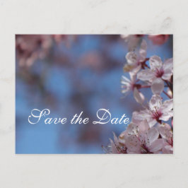 日付を保存する、さくらんぼの花 案内ポストカード