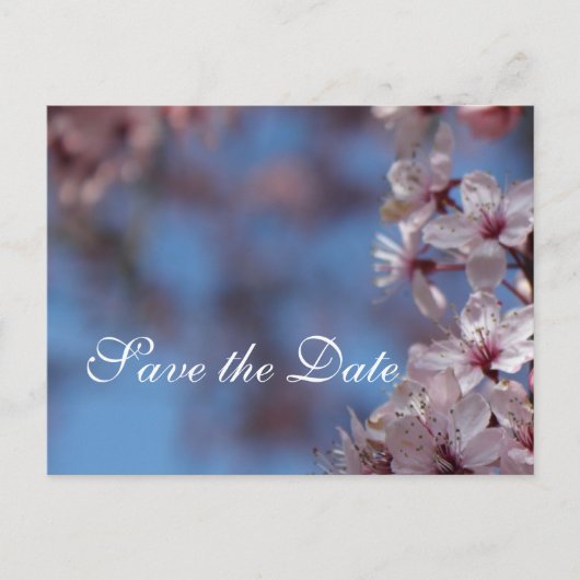 日付を保存する、さくらんぼの花 案内ポストカード (正面)