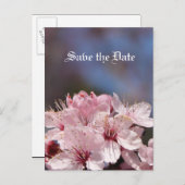 日付を保存する、さくらんぼの花 案内ポストカード (正面/裏面)