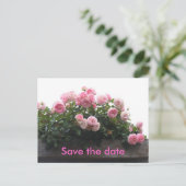 日付を保存する – ピンクのバラ 案内ポストカード (スタンド正面)