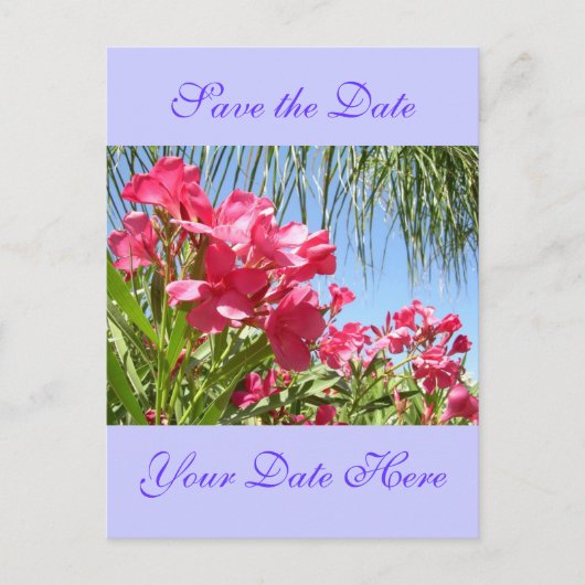 日付を保存するOleander Post Card 案内ポストカード (正面)