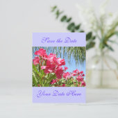 日付を保存するOleander Post Card 案内ポストカード (スタンド正面)