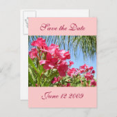 日付を保存するOleander Post Card 案内ポストカード (正面/裏面)