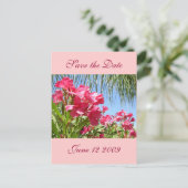 日付を保存するOleander Post Card 案内ポストカード (スタンド正面)