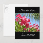 日付を保存するOleander Post Card 案内ポストカード (正面/裏面)