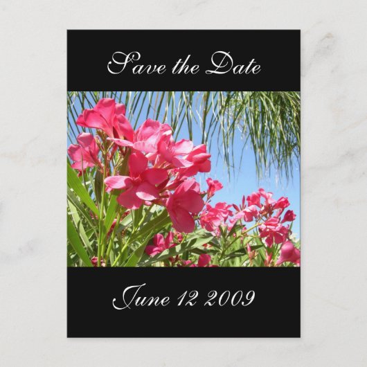 日付を保存するOleander Post Card 案内ポストカード (正面)