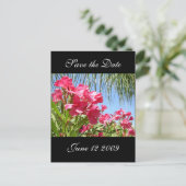 日付を保存するOleander Post Card 案内ポストカード (スタンド正面)