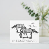 日付を保存：二頭の馬：ひっかかり 案内ポストカード (スタンド正面)