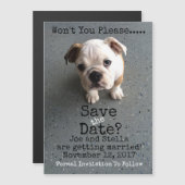 日付を磁気式で保存 マグネット招待状 (正面/裏面)