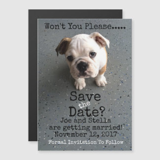 日付を磁気式で保存 マグネット招待状