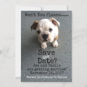 日付を磁気式で保存 マグネット招待状 (正面)