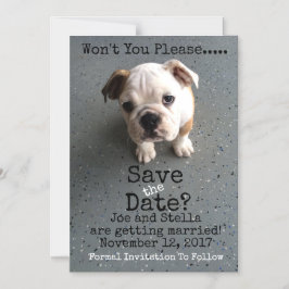 日付を磁気式で保存 マグネット招待状