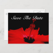 日付エレガントポストカードの保存 案内ポストカード (正面/裏面)