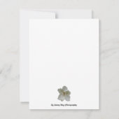 日付カードにマグノリアの白い花を保存 セーブザデート (裏面)