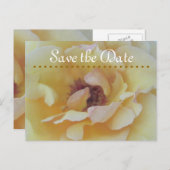 日付カードの保存 案内ポストカード (正面/裏面)