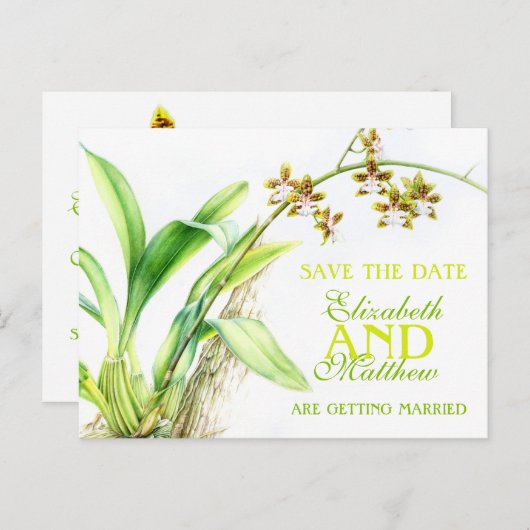 日付カード色彩の鮮やかを除く蘭の緑の花 案内ポストカード (正面/裏面)