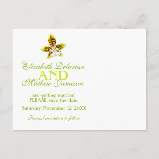 日付カード色彩の鮮やかを除く蘭の緑の花 案内ポストカード (裏面)