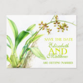 日付カード色彩の鮮やかを除く蘭の緑の花 案内ポストカード (正面)