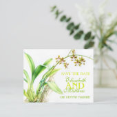 日付カード色彩の鮮やかを除く蘭の緑の花 案内ポストカード (スタンド正面)