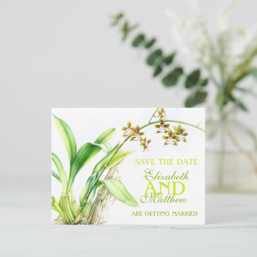 日付カード色彩の鮮やかを除く蘭の緑の花 案内ポストカード (スタンド正面)