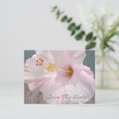 日付ポストカードの保存 – トロピカルビーチ結婚式 案内ポストカード (スタンド正面)