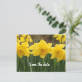 日付ポストカードの保存 ポストカード (スタンド正面)