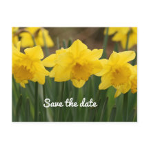 日付ポストカードの保存