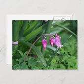 日付ポストカードの保存 案内ポストカード (正面/裏面)