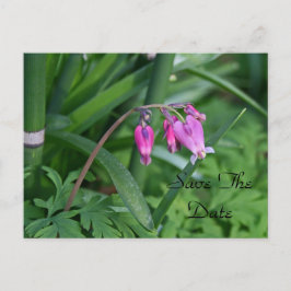 日付ポストカードの保存 案内ポストカード