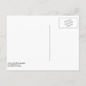 日付ポストカードの保存 案内ポストカード (裏面)