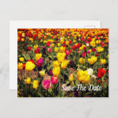 日付ポストカードの保存 案内ポストカード (正面/裏面)