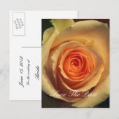 日付ポストカードの保存 案内ポストカード (正面/裏面)