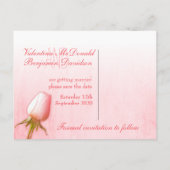 日付ポストカードピンク独身のローズバッドを保存 案内ポストカード (裏面)