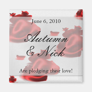 日付マグネットの保存 マグネット